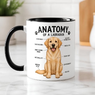 Rolig anatomisk diagram över Labrador Retriever Mugg