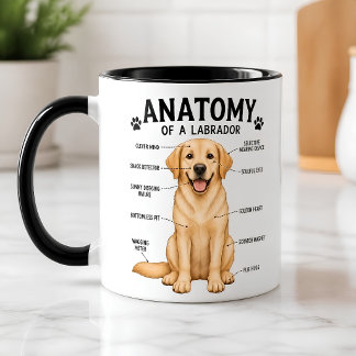 Rolig anatomisk diagram över Labrador Retriever Mugg