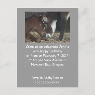 Rolig anpassade för födelsedagsfestinbjudanhäst inbjudningar