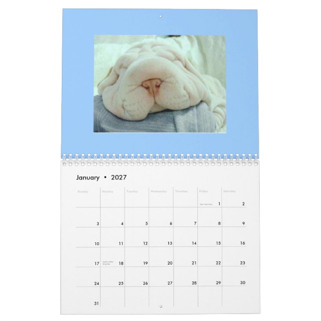 Rolig ansiktekalender kalender (Jan 2027)