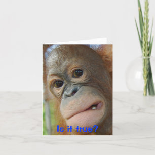 Rolig ansiktestudentengrattis kort