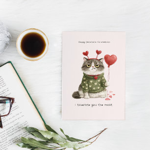 Rolig Anti-Valentine Katt Jag Tolererar Dig Mest Kort