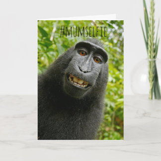 Rolig apa Selfie Mors Dagskort Kort