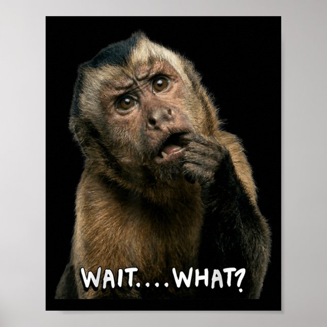 Rolig apa slang citat vänta vad meme söt poster (Framsidan)