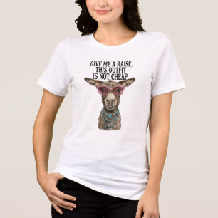 Rolig åsna ge mig en löneförhöjning t shirt