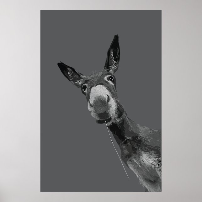 Rolig Åsna Gråskalig Porträttkonst Poster (Framsidan)
