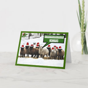 Rolig Bah Humbug Helgkort