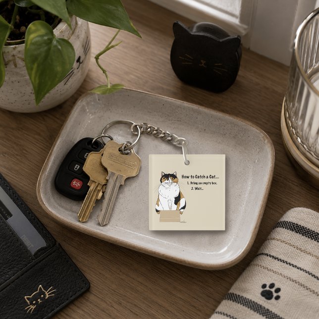 Rolig Beige Katt med Fläckig Päls i Låda Humor Kat (Skapare uppladdad)
