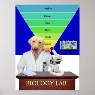 Rolig biologilabbaffisch för lärare poster