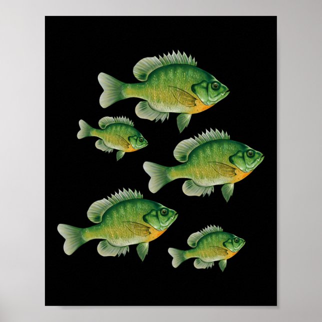 Rolig blåmask Solfisk Fiske Sötvatten Fisk Ang Poster (Framsidan)