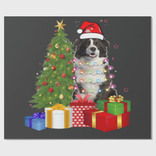 Rolig Border Collie Julgran God Jul Presentpapper