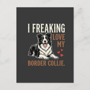 Rolig Border Collie Kärlek Hund Vykort