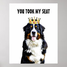 Rolig Border Collie Toalett Väggkonst