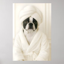 Rolig Boston Terrier Badrumstryck, Terrier i