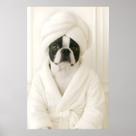 Rolig Boston Terrier Badrumstryck, Terrier i Poster