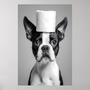 Rolig Boston Terrier Badrumstryck, Toalettpapper Poster