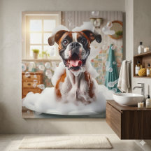 Rolig Boxerhund och bubblor