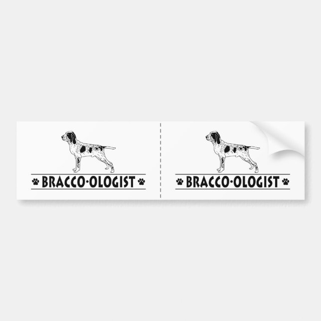 Rolig Bracco Italiano Bildekal (Framsidan)