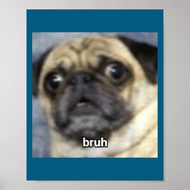 Rolig Bruh Förvånad Pug Hund Suddig Poster (Framsidan)