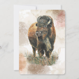 Rolig Buffalo Bison Vilda Djur Park Pensionering Inbjudningar