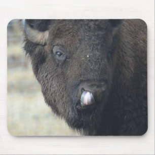 Rolig buffel musmatta