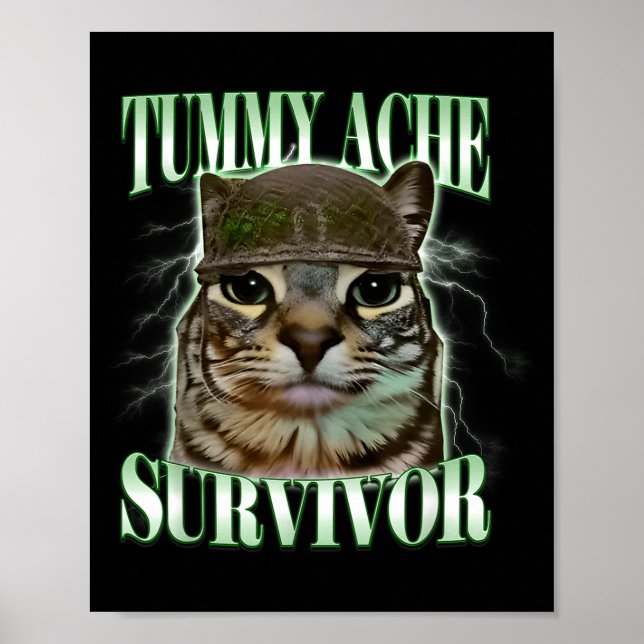 Rolig Buksmärta Överlevande Katt Meme Poster (Framsidan)