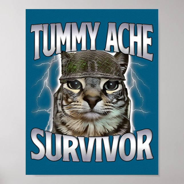 Rolig Buksmärta Överlevande Katt Meme Poster (Framsidan)