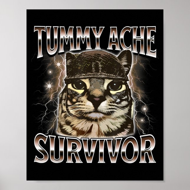 Rolig Buksmärta Överlevande Katt Meme Poster (Framsidan)