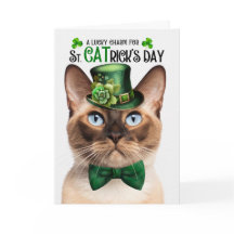Rolig burmes katt St PATricks dag Lucky Charm