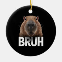 Rolig Capybara Bruh