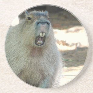 Rolig Capybarakustfartyg Underlägg