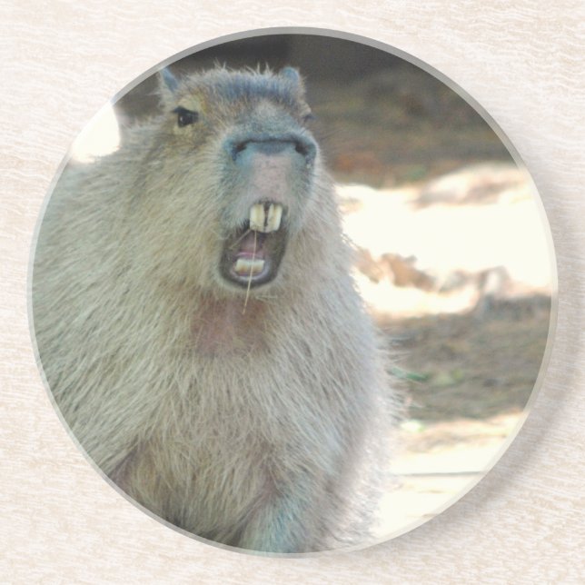 Rolig Capybarakustfartyg Underlägg (Framsidan)