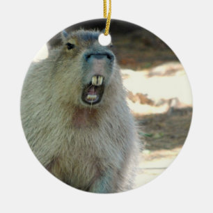 Rolig Capybaraprydnad Julgransprydnad Keramik