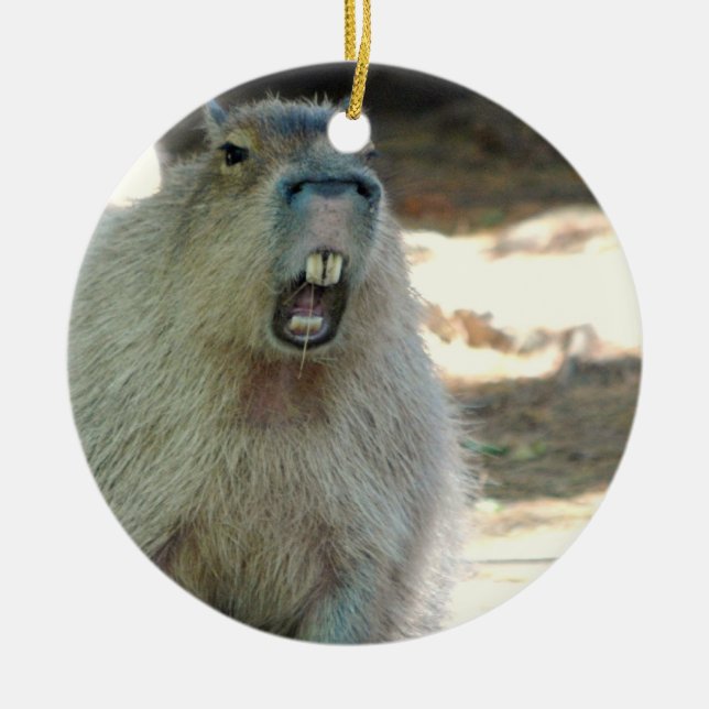 Rolig Capybaraprydnad Julgransprydnad Keramik (Framsidan)