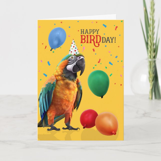 Rolig Catalina eller Rainbow Macaw Papegoja Födels Kort (Framsida)