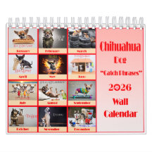 Rolig Chihuahua 2026 Klichéer Väggkalender