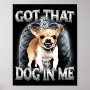 Rolig chihuahua fick med den där hunden i hundälsk poster
