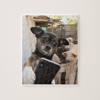 Rolig Chihuahua gårdshund Pussel