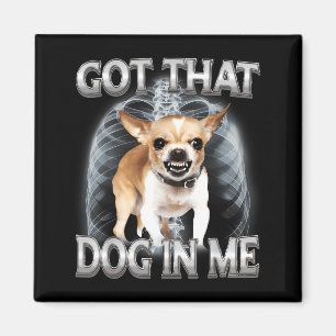 Rolig chihuahua har den där hunden i hundälskare m magnet