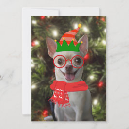 Rolig Chihuahua Hund Jul Julkort