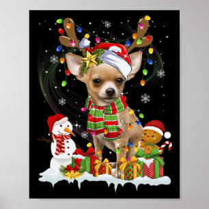 Rolig Chihuahua jul ful hund jultomte hatt lampor Poster