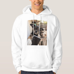 Rolig Chihuahua Selfie Gård Hoodie
