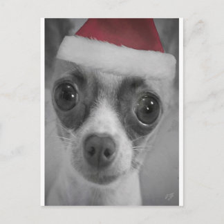 Rolig Chihuahuavalp för jul med den Santa hatten Helg Vykort