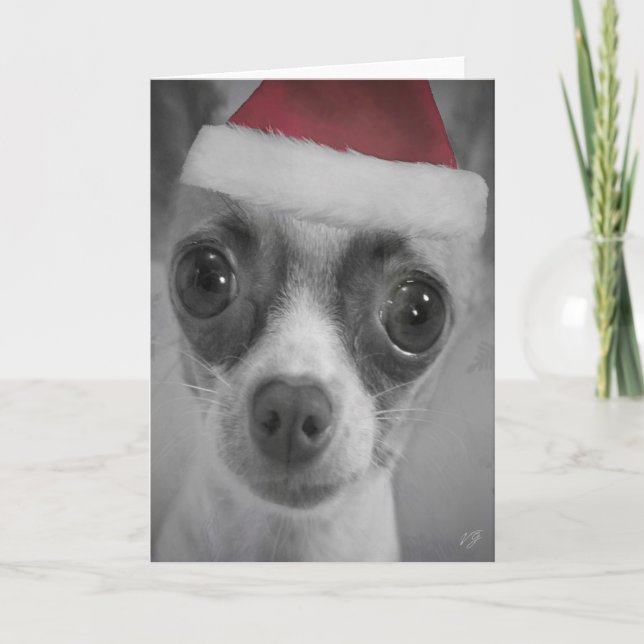 Rolig Chihuahuavalp för jul med den Santa hatten Helgkort (Framsida)