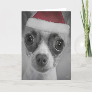 Rolig Chihuahuavalp för jul med den Santa hatten Helgkort