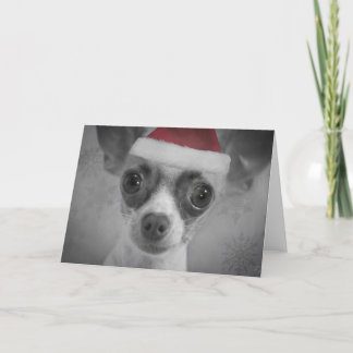 Rolig Chihuahuavalp för jul med den Santa hatten Helgkort