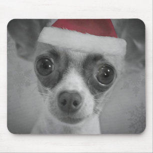 Rolig Chihuahuavalp för jul med den Santa hatten Musmatta