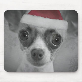 Rolig Chihuahuavalp för jul med den Santa hatten Musmatta