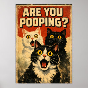 Rolig chockad kattposter Badrumshumor Poster