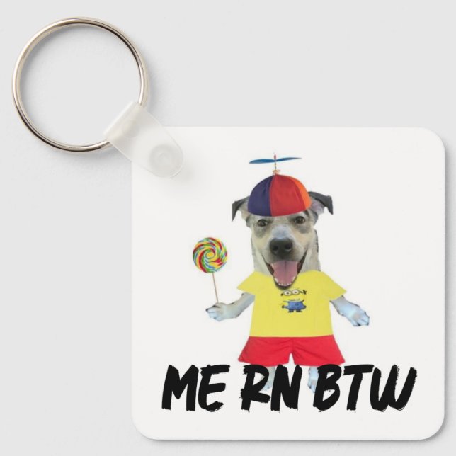 Rolig citat om hund propeller hatt nyckelring (Framsida)